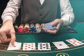 356x bet
